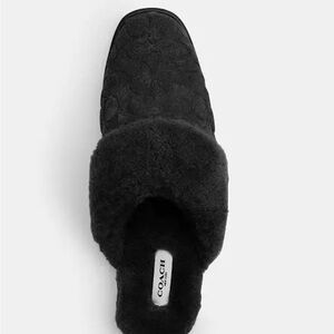 Coach Black Flat Mule Slippers